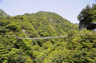 🌉 매화나무 폭포 공원 현수교(우메노키토도로키코엔츠리바시) 이미지 2